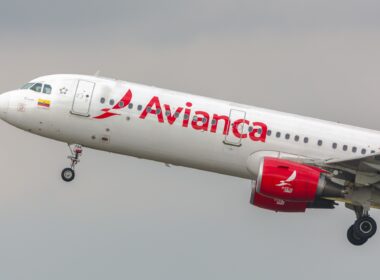 Following a bird strike impacting an Airbus A320's engine, Avianca is pleading with Aerocivil for more measures against bird strikes
